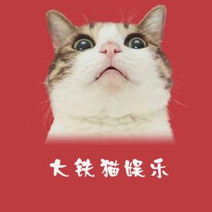 大铁猫娱乐 头像