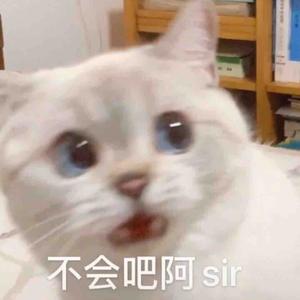 心动的可能 头像