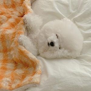 是小徐同学a 头像