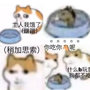 天津仓鼠头像