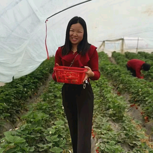 肉肉妈1（直播刷鞋）头像