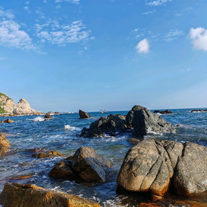 自由的灵魂卡在了那个发霉的雨季 头像