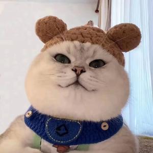 评论员小七 头像