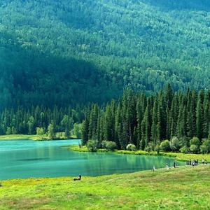 积极探索者 头像