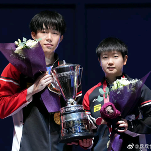 孤雁可以双飞 头像