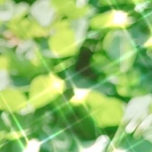 云端里傲游的神仙 头像
