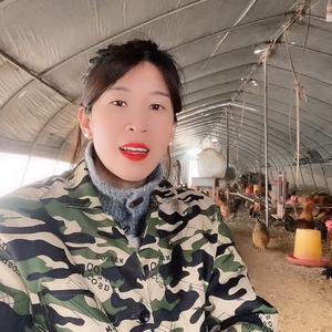 倩倩聊养鸡 头像