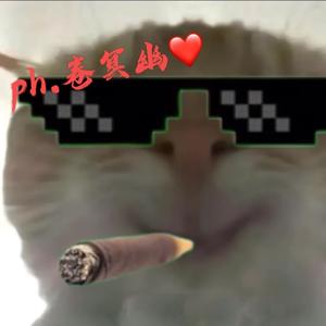 卷冥幽头像