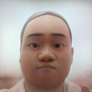 真诚龙飞凤舞