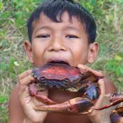 丛林度假村 头像