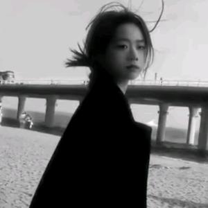 雪下紫禁城 头像