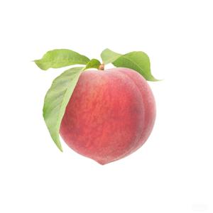 一颗小桃子p 头像