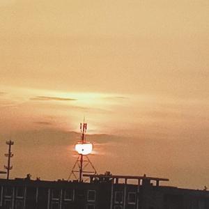 自由的钢笔Dz 头像