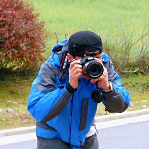 日子像树叶 头像