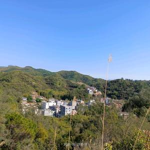 打劫小孟兽 头像