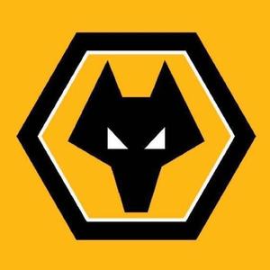 狼队电竞无畏契约分部 头像