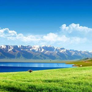 真三蓝宝石专属 头像