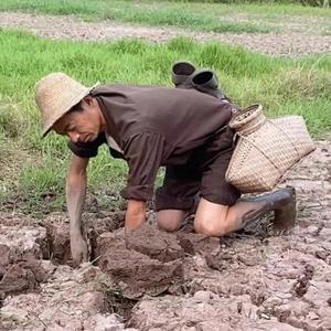 乡野二娃628 头像
