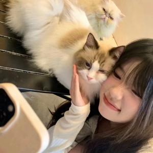 我不吃火鸡面 头像