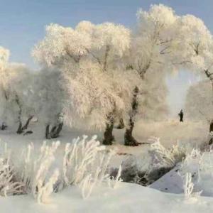 七点二十的海啸 头像