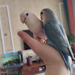 流水145057650 头像