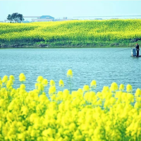 历史快递客 头像