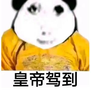 率真钢琴l 头像
