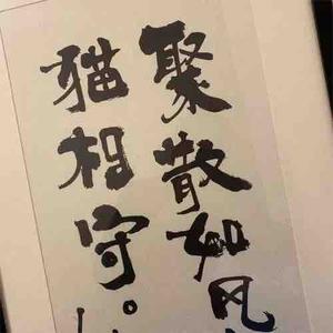 小陈说木材 头像