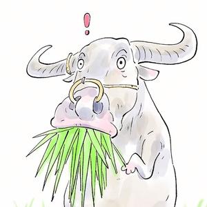 今朝见闻 头像