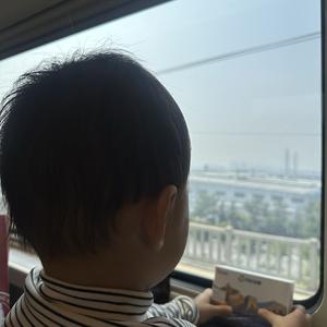 尼莫 头像