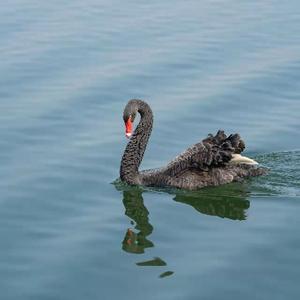 为中国人的幸福而奋斗 头像