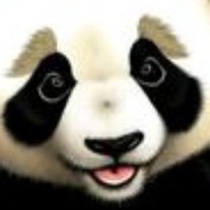 机智的熊猫XjAce 头像