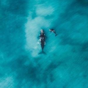 游戏大场面 头像