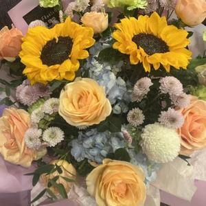 高冷精灵Tn 头像