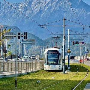 人间惊鸿客 头像