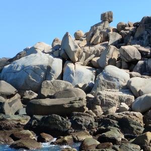 天涯若比邻 头像