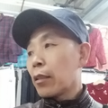 苦善禅根