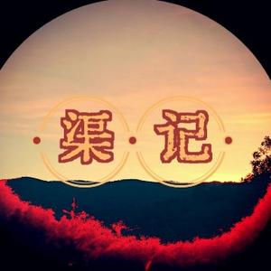 渠记356 头像