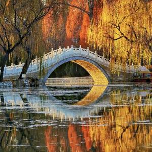 快乐淡定晚风 头像