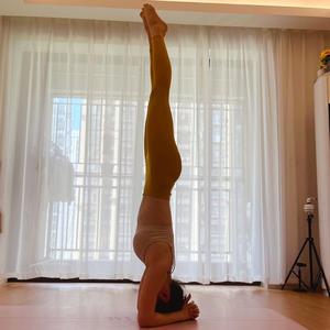 瑜伽老师Cissy 头像