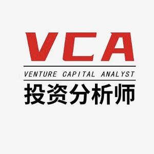 投资分析师VCA头像