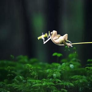 溪流里捞取鱼虾者 头像