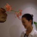 无花不解语 头像