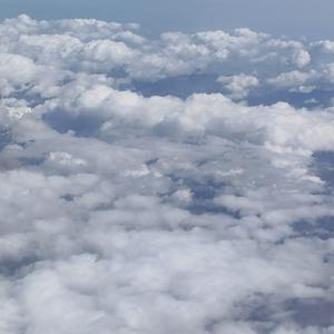 伏羲影视悦读 头像