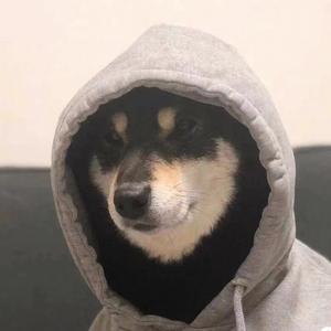 王某人poq 头像
