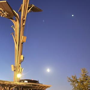 小达人罩罩 头像