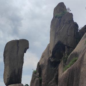 一只有理想的鼠标 头像