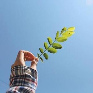 爱你胜过他 头像