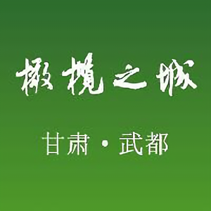 陇南武都发布头像