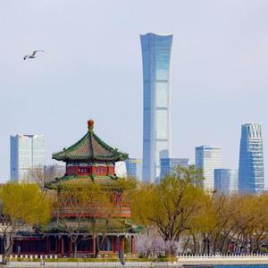 懂分享才会懂得欣赏 头像